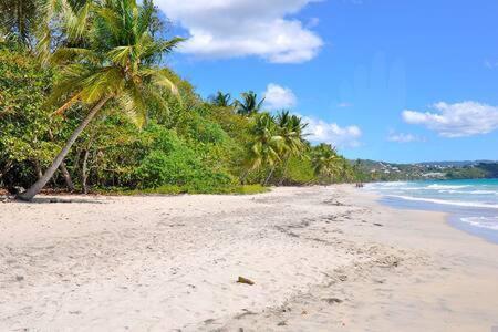 Le Chant Du Diamant Calme Vue Mer Et Plage A 50 M Le Diamant Kültér fotó